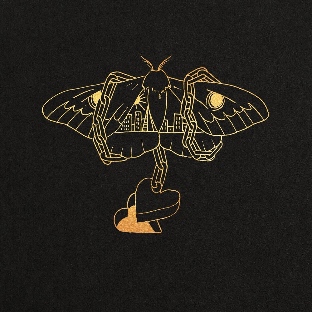 David Gray - Gold in a Brass Age [CD]