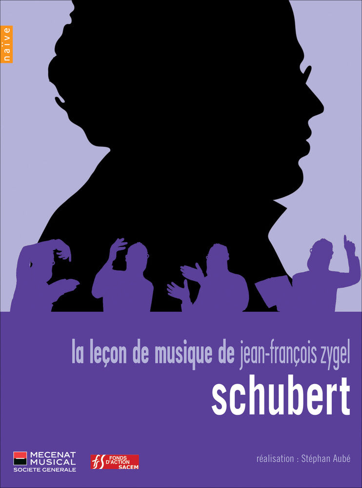 Jean Zygel -Francois - La Lecon De Musique De Jean-Fr [CD]