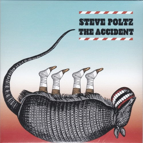 Steve Poltz - The Accident [CD]