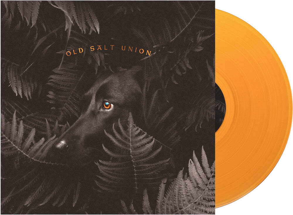 Old Salt Union - Where The Dogs Don't Bite [Limited Edition Orange LP] Vinyl Record