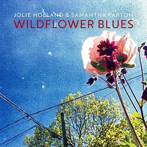 Jolie Holland - Wildflower Blues [CD]