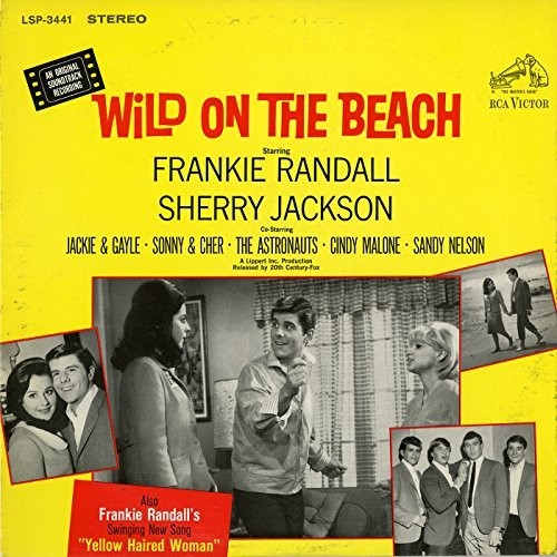 Wild on the Beach / O.S.T. - Wild On the Beach (Original Soundtrack) [CD]