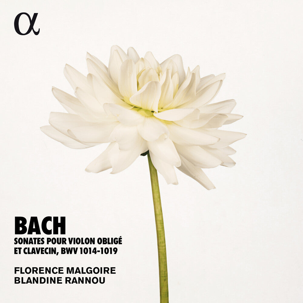 J Bach S / Rannou / Malgoire - Sonates Violon Oblige [CD]