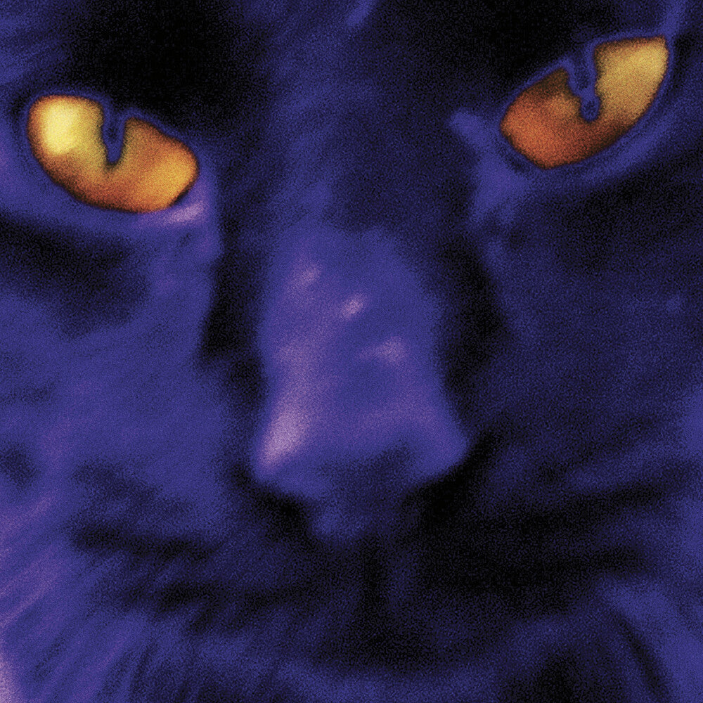 David Kilgour and the Heavy Eights - Bobbie's A Girl [CD]