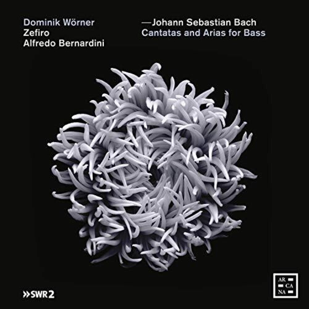 J Bach S / Bernardini / Worner - Cantatas & Arias for Bass [CD]