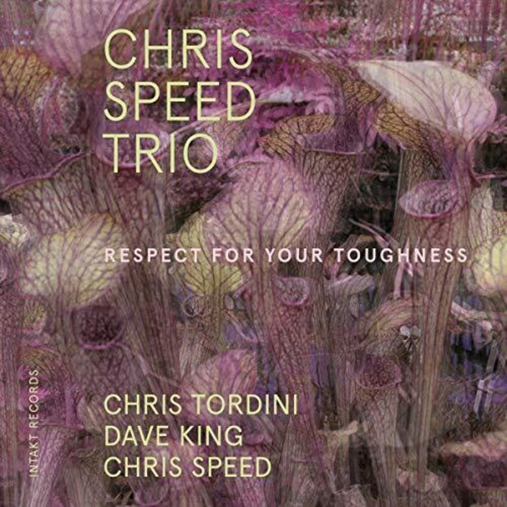Speed / Tordini / King - Respect for Your Toughness [CD]