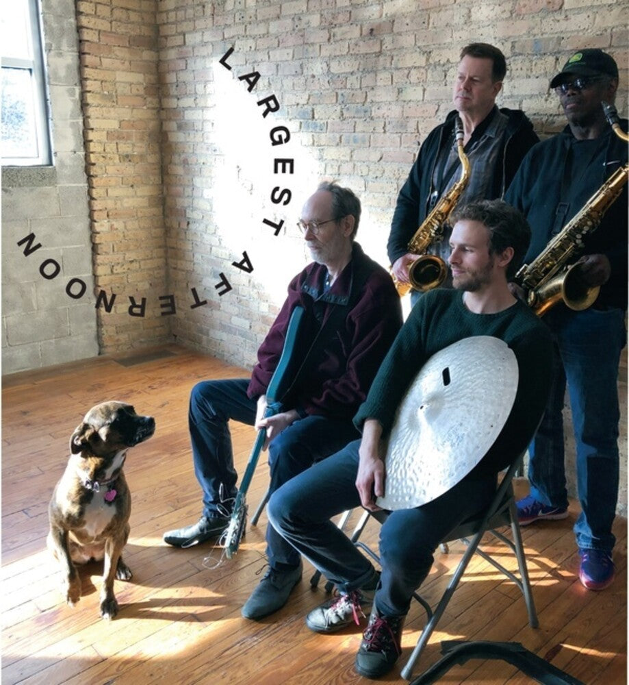 Arto Lindsay / Mcphee,Joe / Vandermark,Ken - Largest Afternoon [CD]