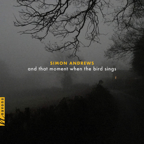 Andrews / Maurer - & That Moment When the Bird Sings [CD]