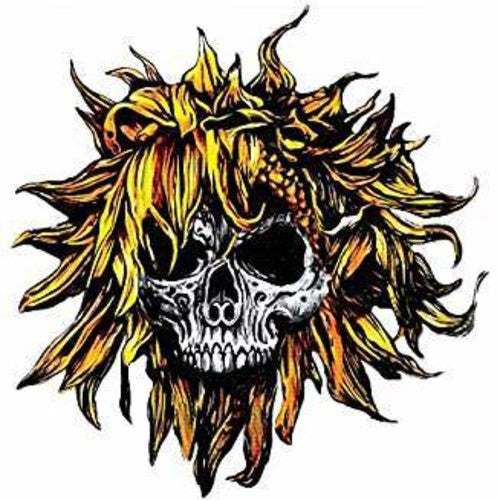 Sunflower Dead - C.O.M.A. [CD]