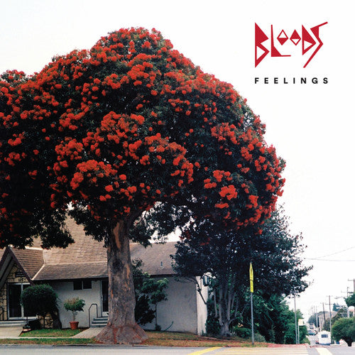 Bloods - Feelings [CD]