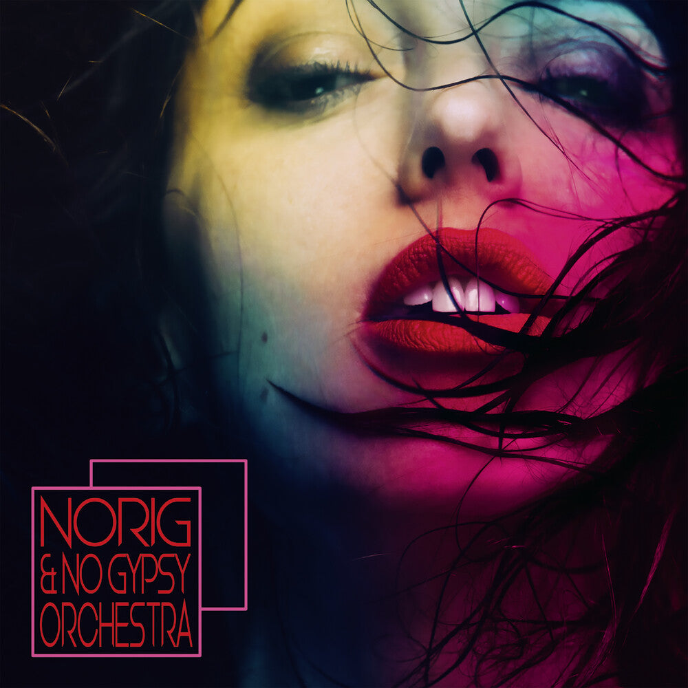 Norig & No Gypsy Orchestra / Various - Norig & No Gypsy Orchestra [CD]