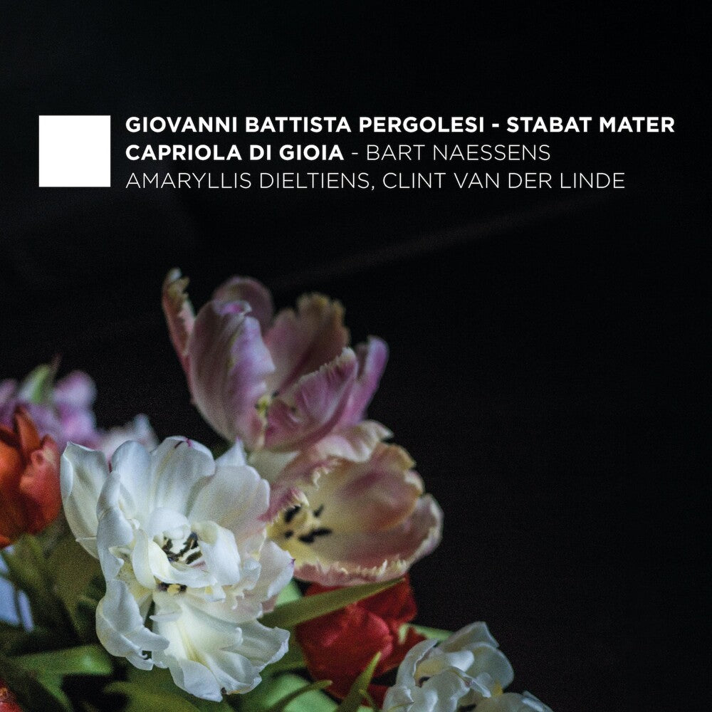 Pergolesi / Dieltiens / Naessens - Stabat Mater [CD]
