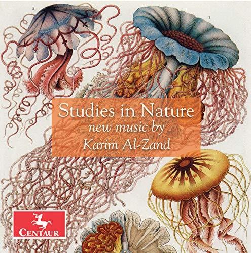 Al-Zand / Roitstein / Hauschildt - Studies in Nature [CD]