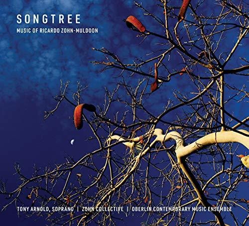Muldoon / Brown - Songtree [CD]
