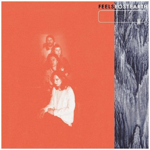 Feels - Post Earth - Vinyl Record