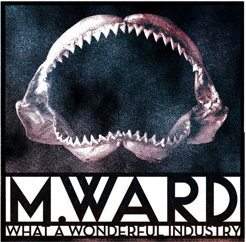 M. Ward - What a Wonderful Industry [CD]