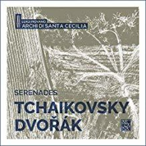 Dvorak / Piovano - Serenades [CD]