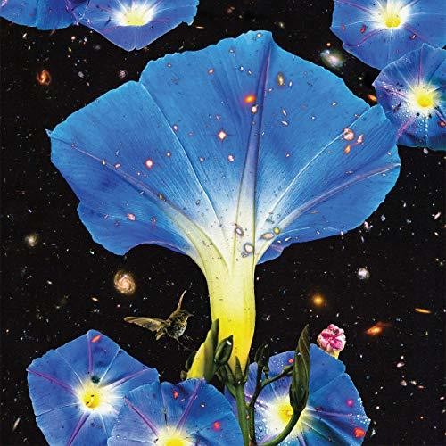 Louise,sarah - Nighttime Birds And Morning Stars - Vinyl Record