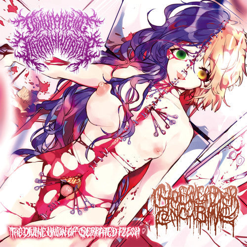 Dehumanizing Itatrain Worship - Divine Union Of Serrated Flesh [CD]