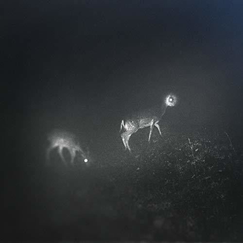 Bliss Signal - Bliss Signal [Limited Edition] Vinyl Record
