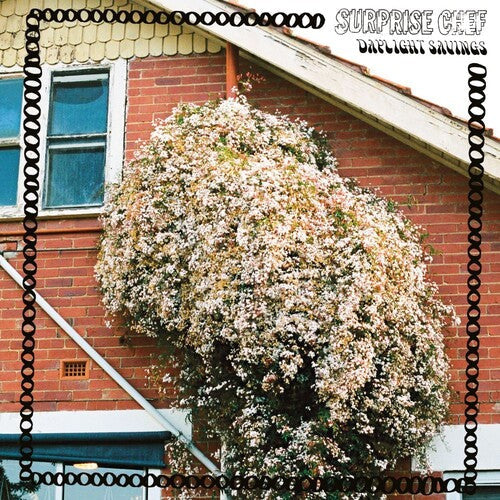 Surprise Chef - Dayling Savings - Vinyl Record