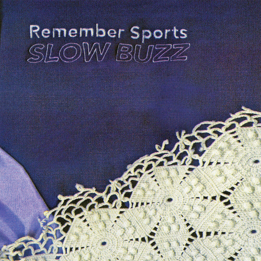 - Slow Buzz [CD]