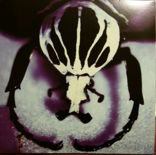 Age Of Electric - Make A Pest A Pet - Vinyl Record