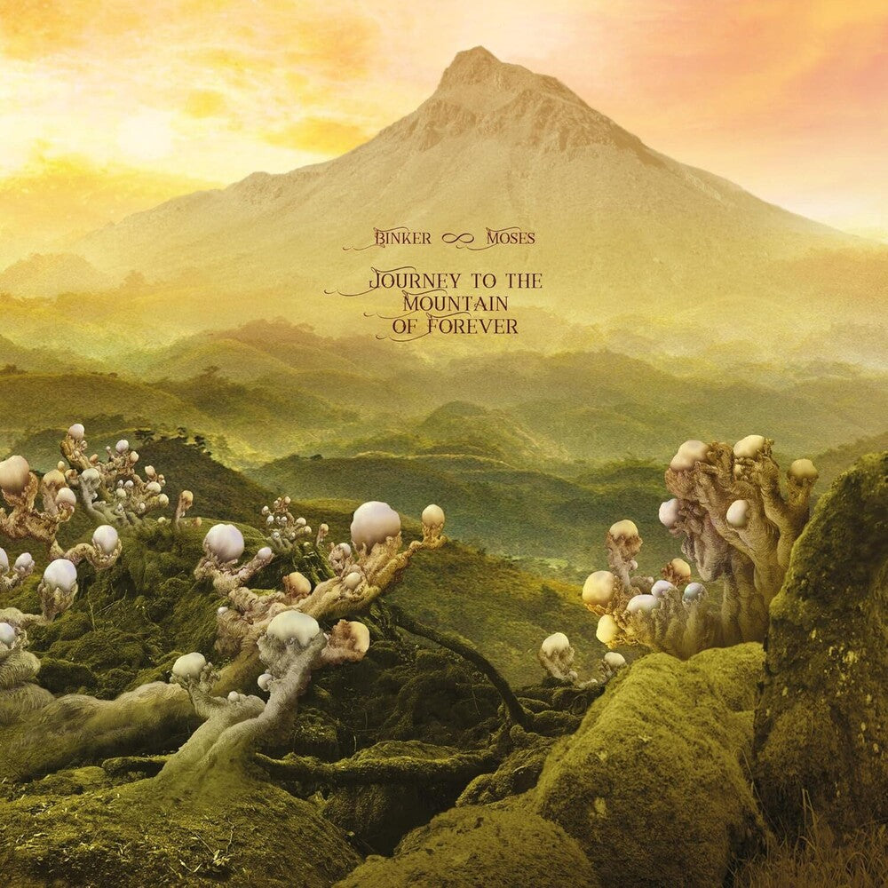 Binker & Moses - Journey To The Mountain Of Forever [CD]