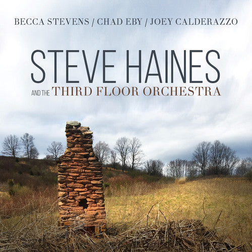 Steve Haines & Third Floor Orchestra - Steve Haines And The Third Floor Orchestra [CD]