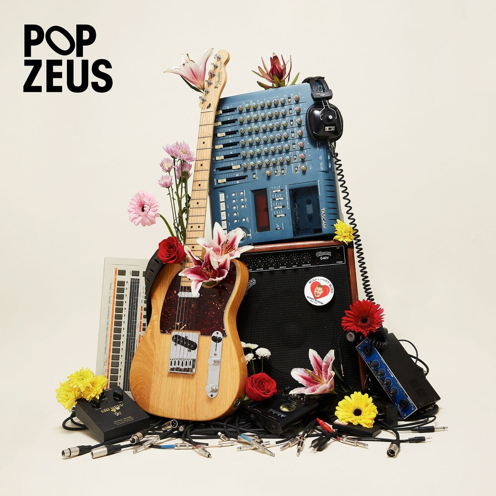 Pop Zeus - This Doesn't Feel Like Home (Unreleased Demos 2011-2014) [LP] Vinyl Record