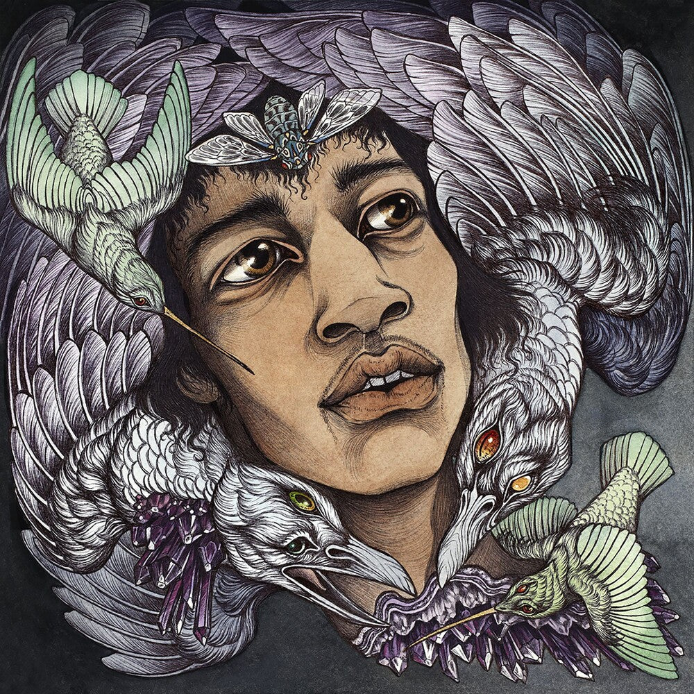 Best Of James Marshall Hendrix (Redux) / Various - Best of James Marshall Hendrix (Redux) / Various [CD]