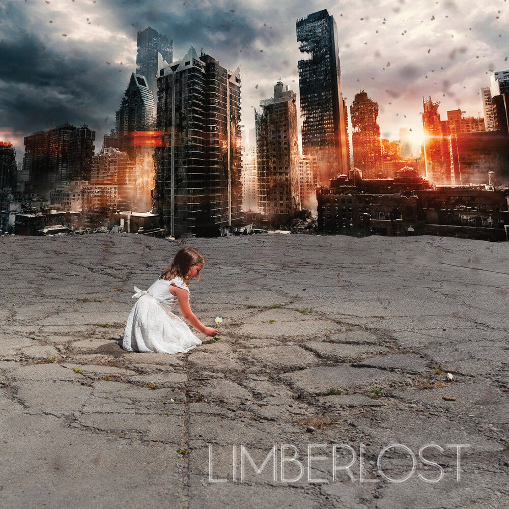Limberlost - Good Fight [CD]