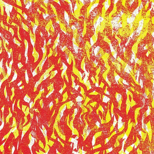 Bug - Fire - Vinyl Record