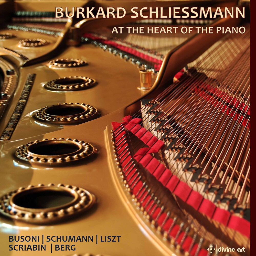 Busoni / Schliessmann - At The Heart Of The Piano (3pk) [3 CD]