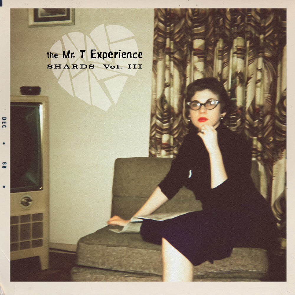 Mr. T Experience - Shards Vol. 3 [LP] Vinyl Record