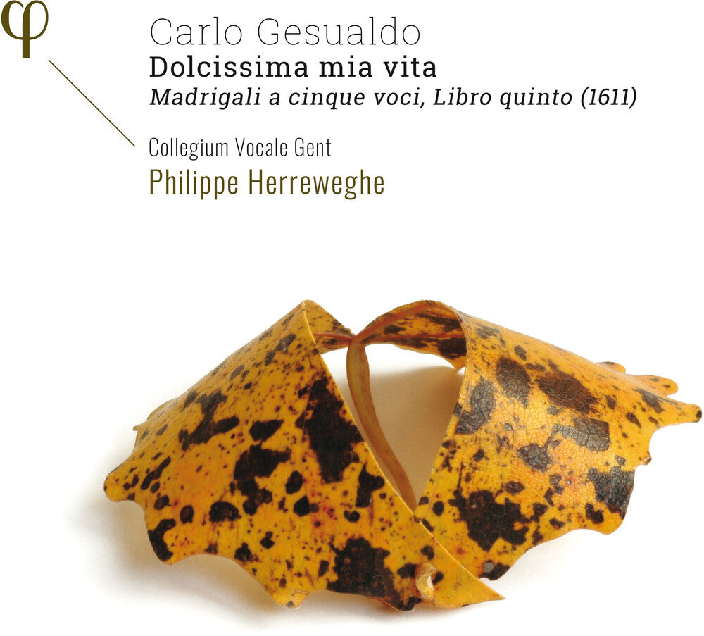 Gesualdo / Collegium Vocale Gent / Herreweghe - Dolcissima Mia Vita [CD]