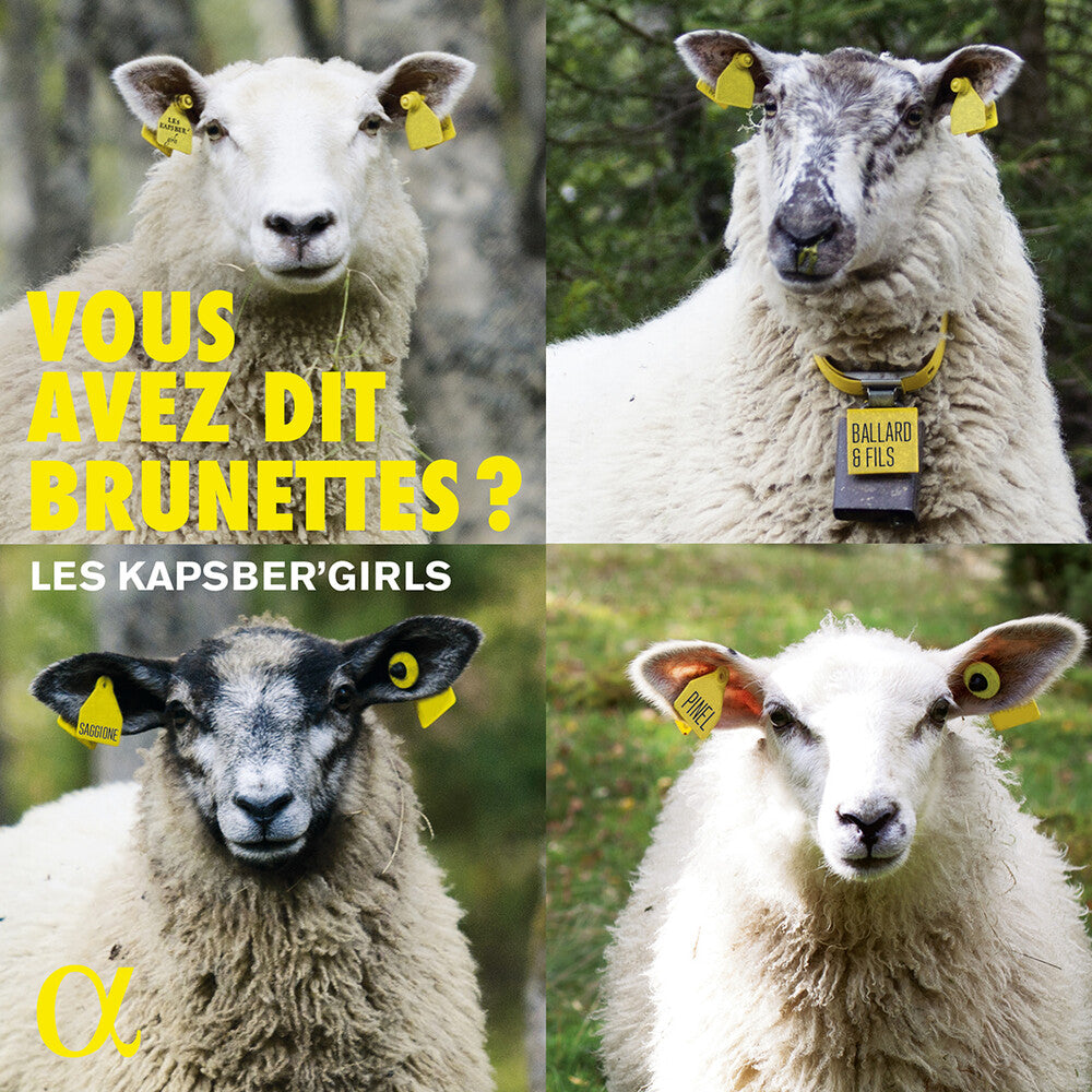 Vous Avez Dit Brunettes / Various - Vous Avez Dit Brunettes / Various [CD]