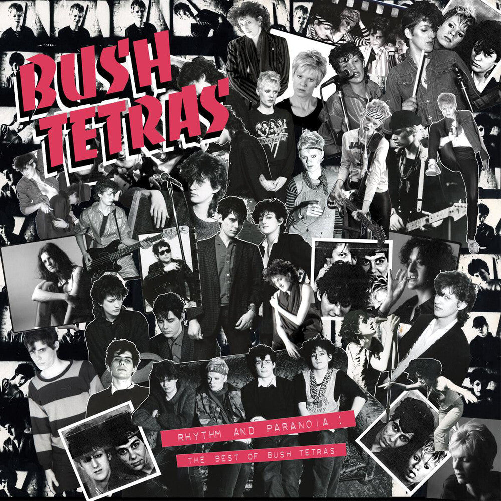 Bush Tetras - Rhythm & Paranoia: The Best Of Bush Tetras [LP] Vinyl Record