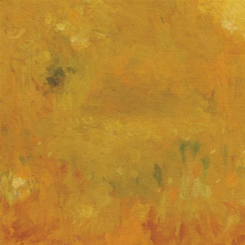 Bevel - Where Leaves Block the Sun [CD]