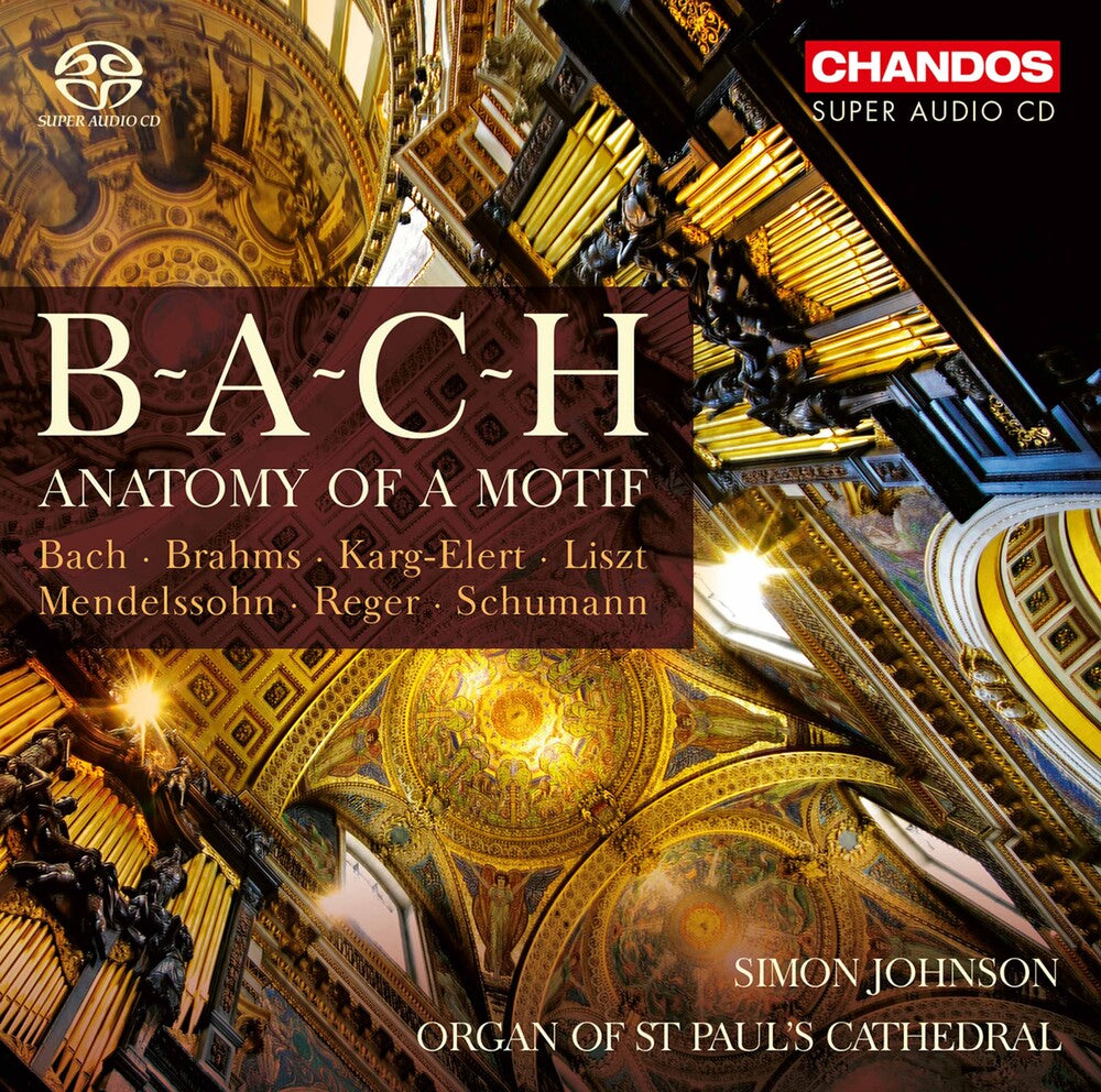 Anatomy Of A Motif / Various (2pk) - Anatomy Of A Motif / Various (2pk) [CD]