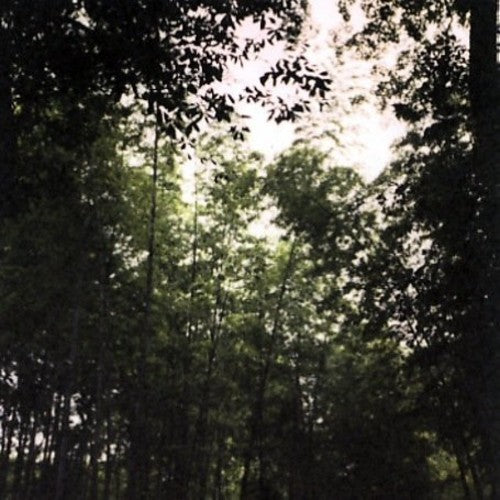 Jetenderpaul - Wooden Spires - Music CD