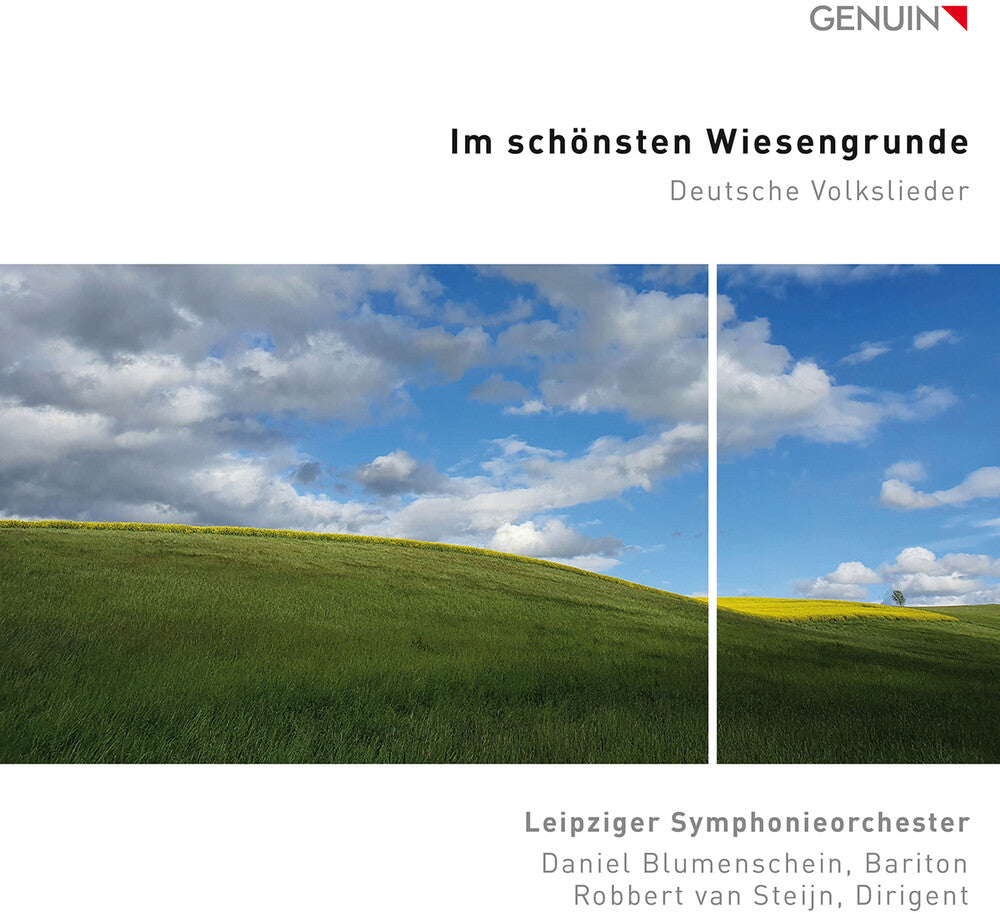 Mendelssohn / Leipziger Symphonieorchester - Im Schonsten Wiesengrunde [CD]