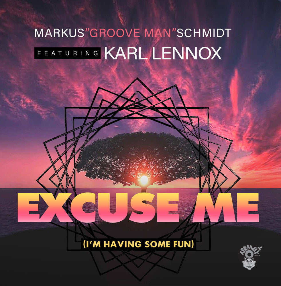 Schmidt, Markus / Lennox, Karl - Excuse Me (I'm Having Some Fun) (Mod) [CD]