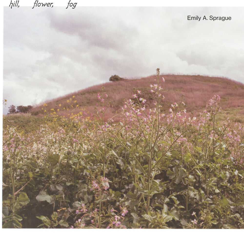Sprague, Emily a. - Hill, Flower, Fog - Foggy White [LP] Vinyl Record