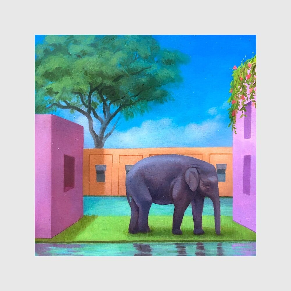 KOREA TOWN ACID - Elephant In The Room [CD]
