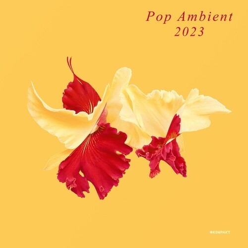 Pop Ambient 2023 / Various - Pop Ambient 2023 / Various - Music CD