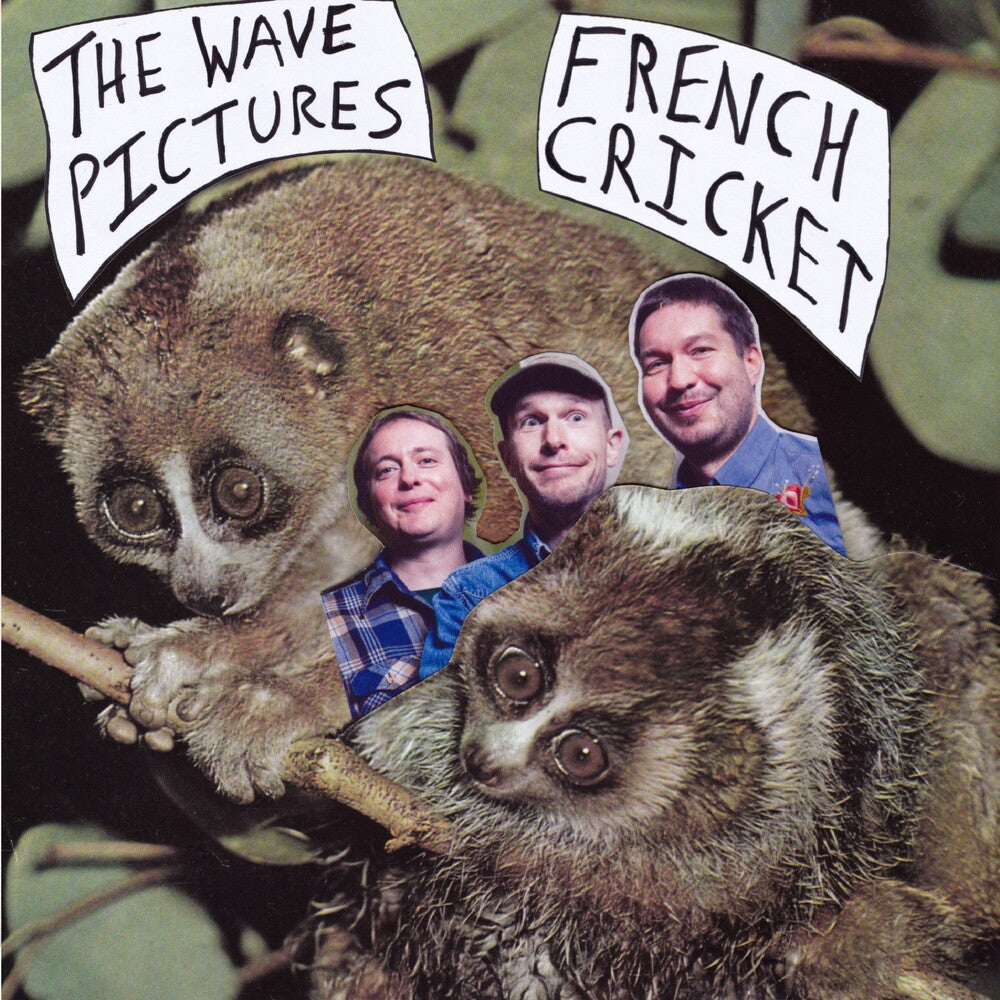 Wave Pictures - French Cricket [7" Vinyl]