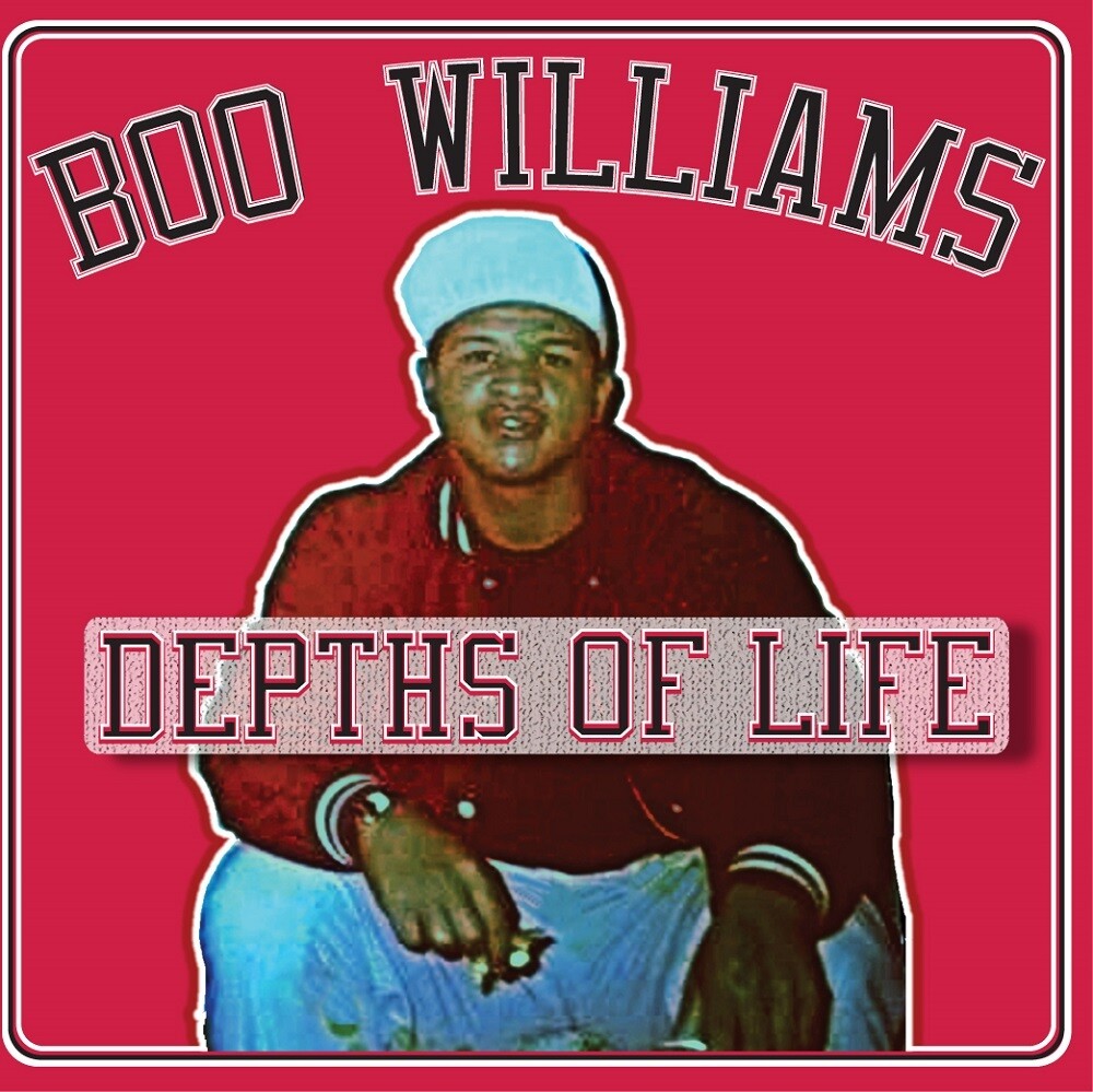 Boo Williams - Family Affair Vol. 1 / Various [LP] Vinyl Record