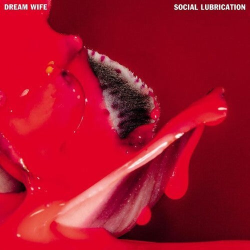 Dream Wife - Social Lubrication - Music CD