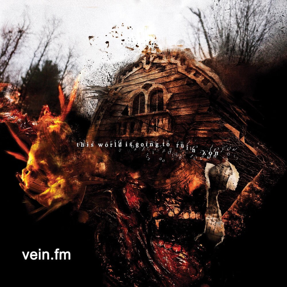 Vein.Fm - This World Is Going To Ruin You [LP] Vinyl Record